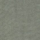 Сизый Канвас. v-1902